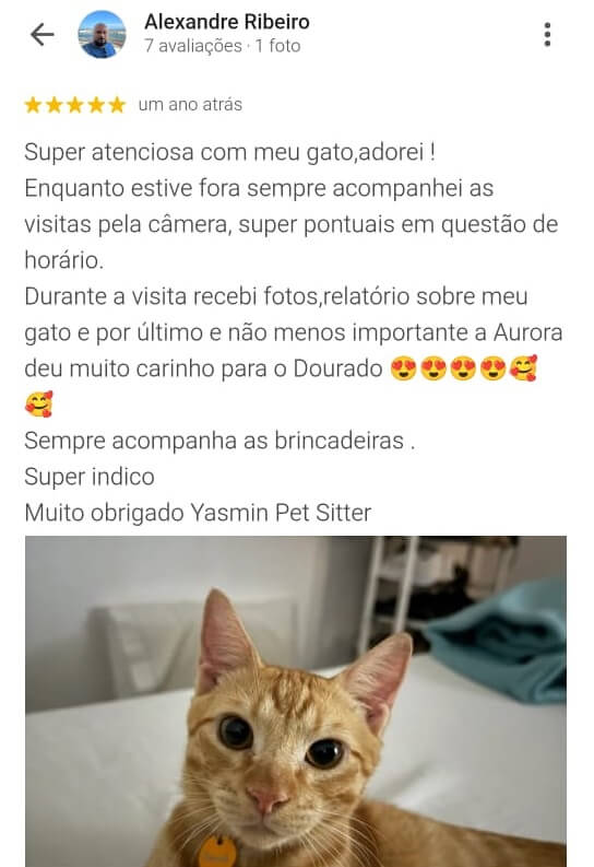 Avaliação positiva do Alexandre