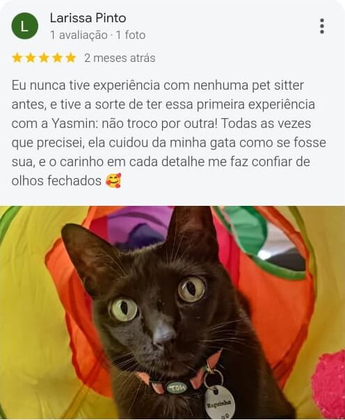 Avaliação positiva da Larissa Pinto