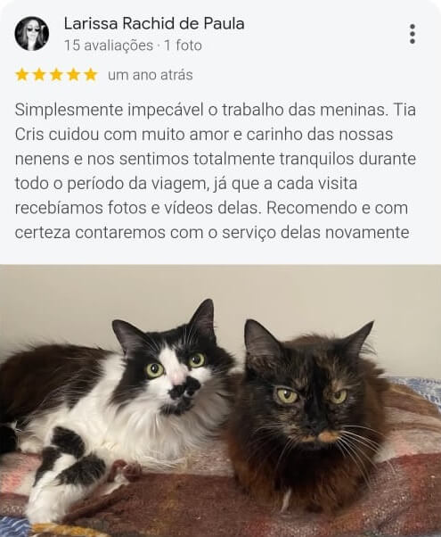 Avaliação positiva da Larissa Rachid