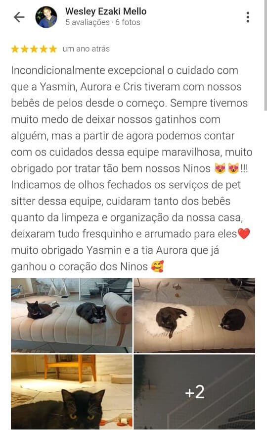 Avaliação positiva do Wesley
