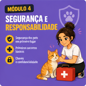 Segurança e responsabilidade